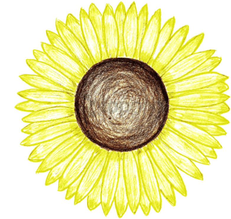 Free Png Sunflower Png Tumblr Png Image With Transparent - Dar E Arqam School Logo (850x784), Png Download