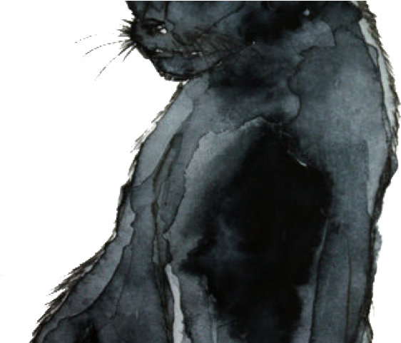 Black Cat Watercolor Png (640x480), Png Download