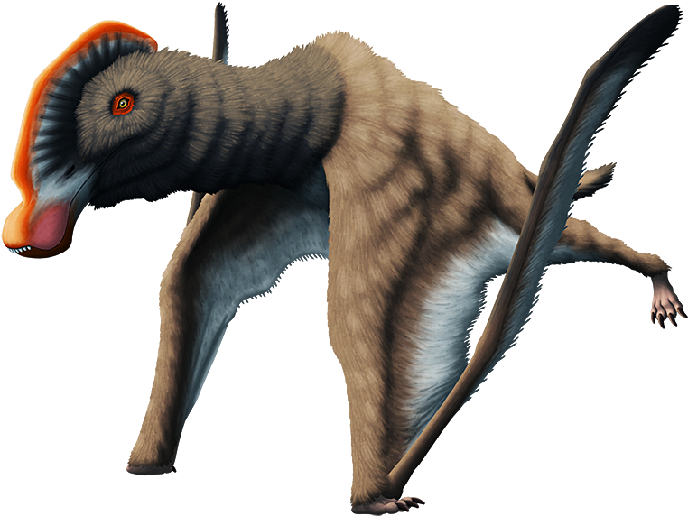 Tumblr Pn4t9muhnb1s5f2yxo1 1280 - Cat (900x613), Png Download