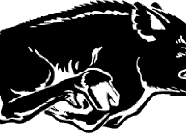 Arkansas Razorbacks Vintage Logo (640x480), Png Download