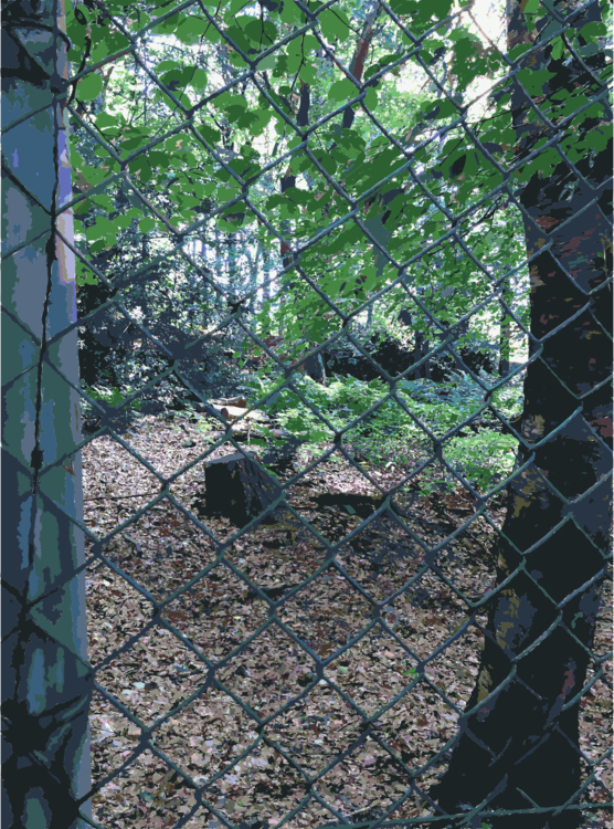 Fence Branching (556x750), Png Download