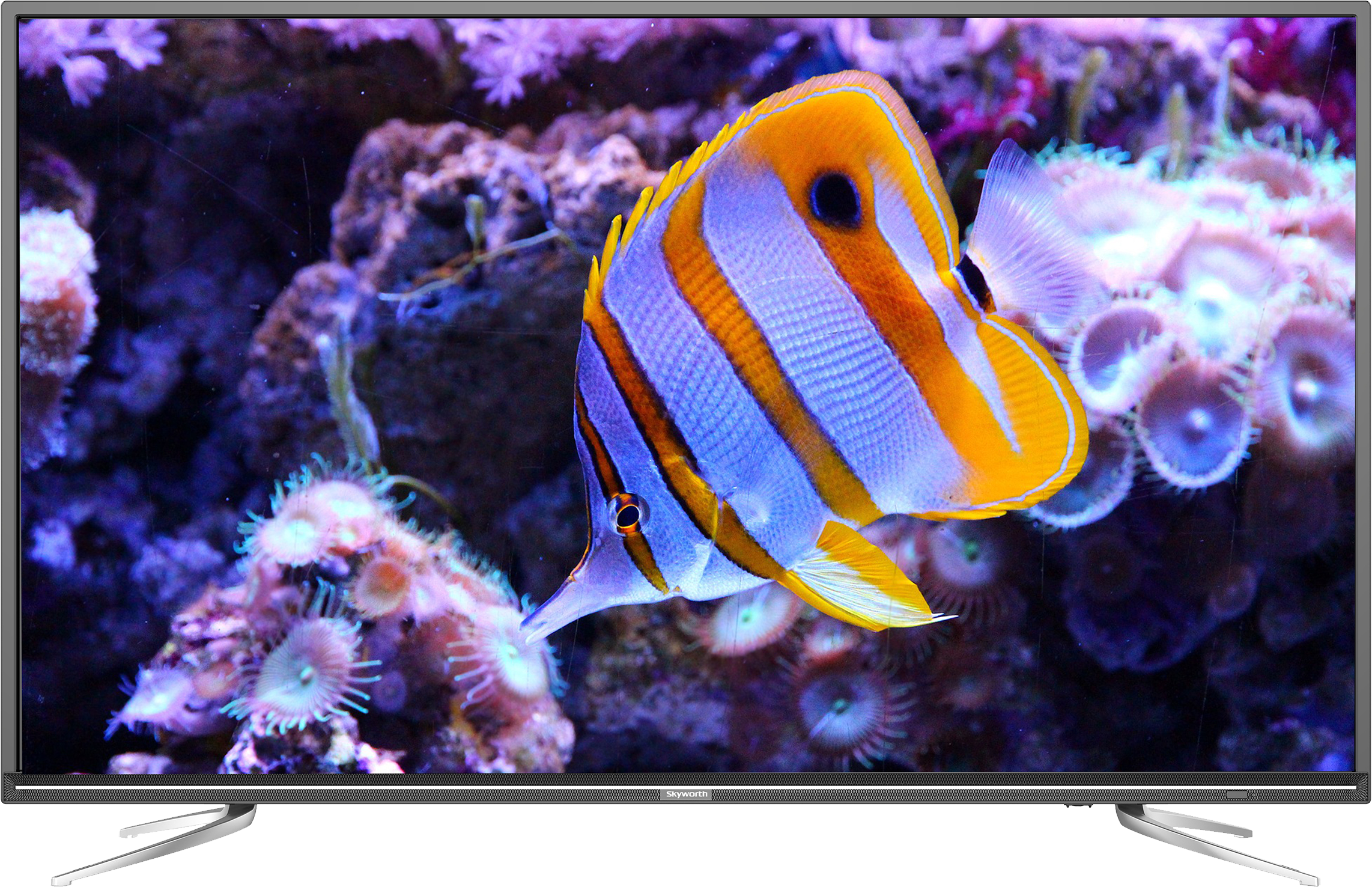Skyworth 40″ Digital Led Television 40e2d - Butterflyfishes (2400x2400), Png Download