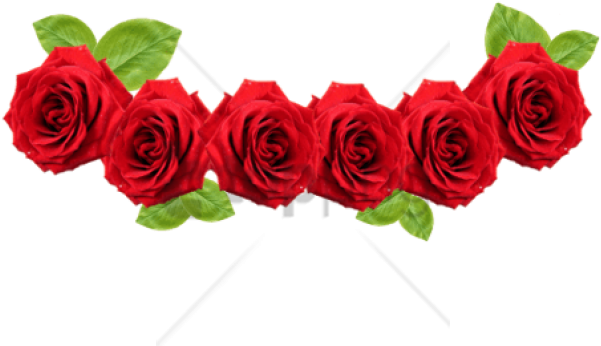 Free Png Transparent Flower Crown Png Images Transparent - Rose Flower Crown Png (850x532), Png Download