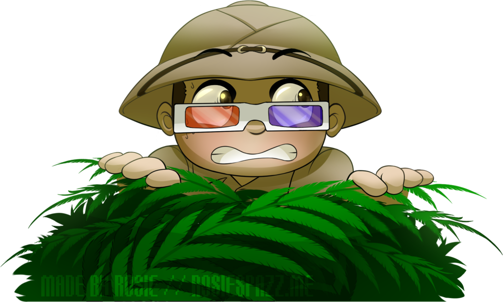 Download Rainforest Clipart Rainforest Explorer Jungle Explorer Transparent Png Image With No Background Pngkey Com