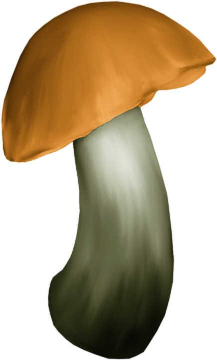 Яндекс - Фотки - Shiitake (458x745), Png Download