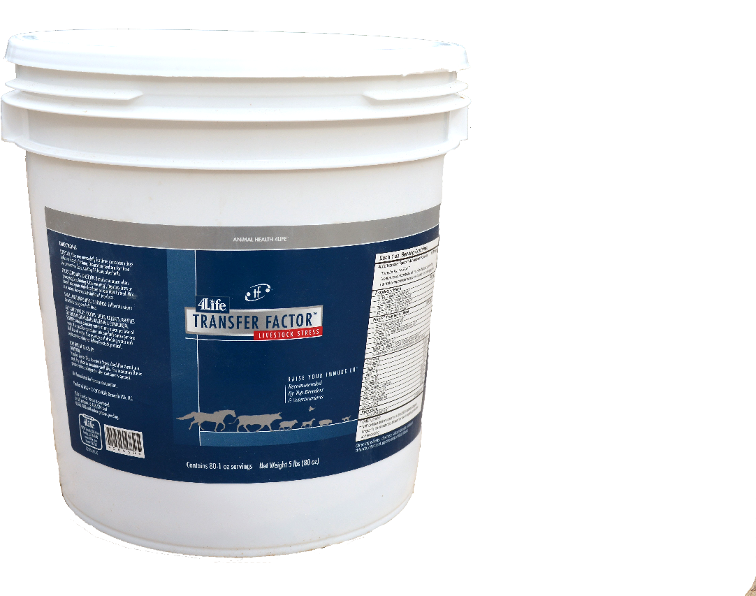 Plastic (1500x1500), Png Download