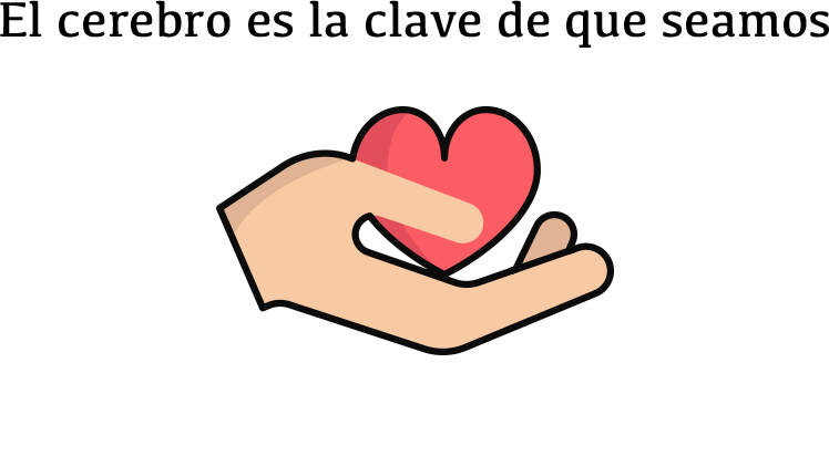 El Cerebro Es La Clave De Que Seamos O No Más Altruistas (748x412), Png Download