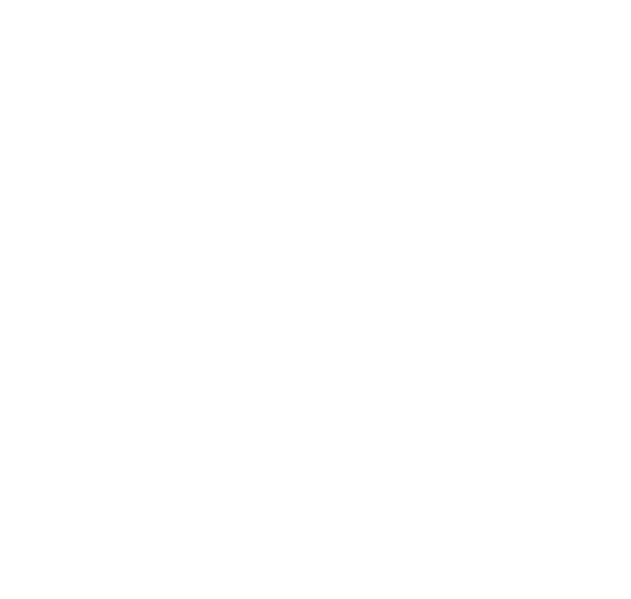 Logo - Netflix Switched At Birth (580x551), Png Download