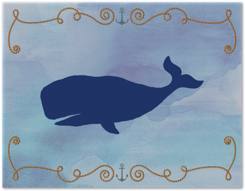 570 X 760 2 - Blue Whale (570x760), Png Download