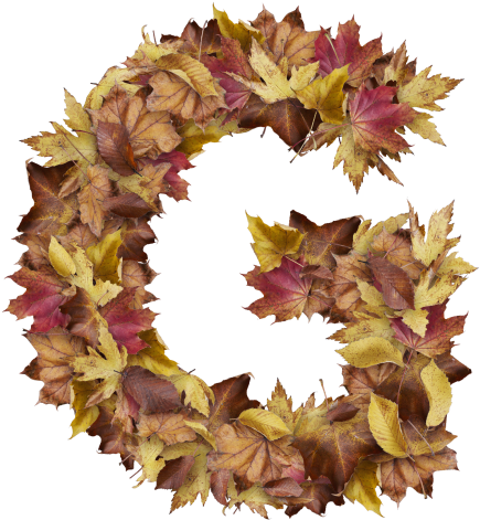 Letter G From Dry Leaves - Sweet William (866x650), Png Download