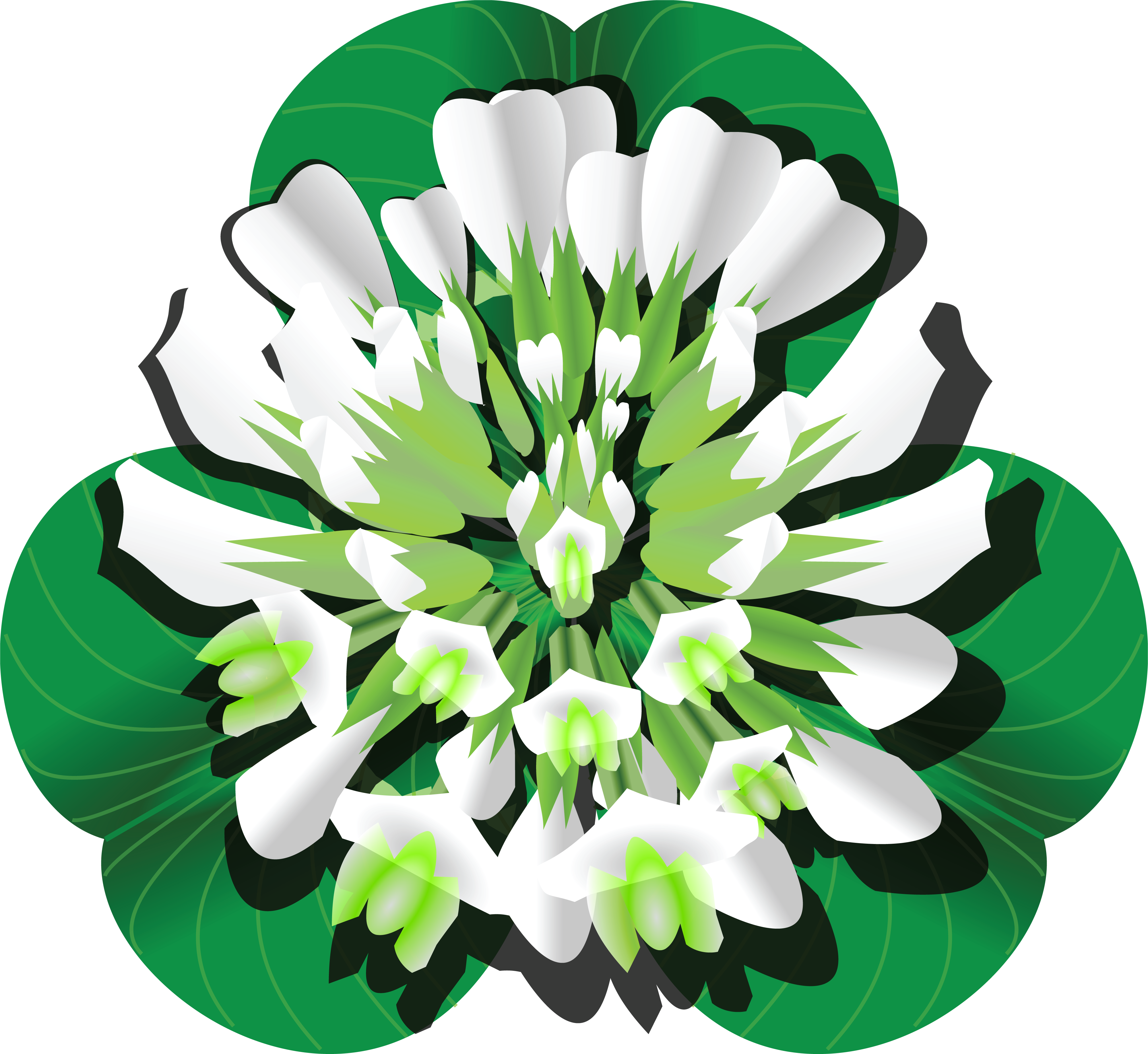 , , - White Clover Clipart (4000x3674), Png Download