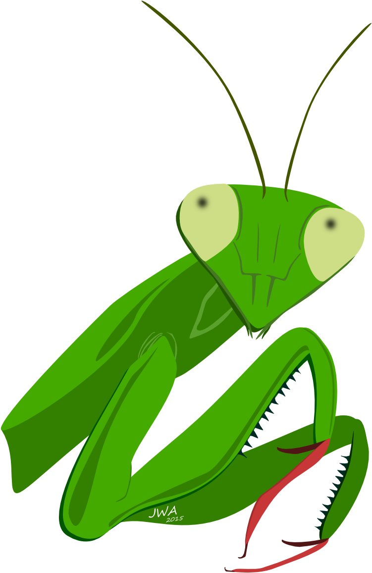 Clip Art Insect Animal Honey Theme - Mantis (900x1200), Png Download