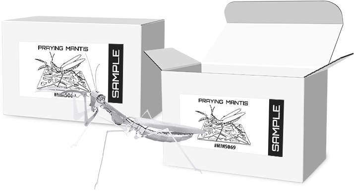 Product Tags - Basketball Moves (740x500), Png Download