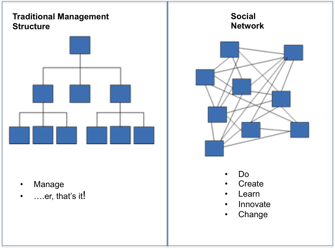 Hierarchies & Networks - Hierarchy Vs Social Network (1159x861), Png Download