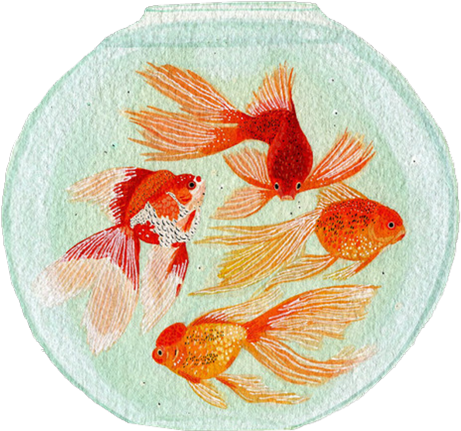 #fish #japan #goldenfish #aesthetic #tumblr #vaporwave - Stand Tall Childish Gambino Quotes (1024x958), Png Download