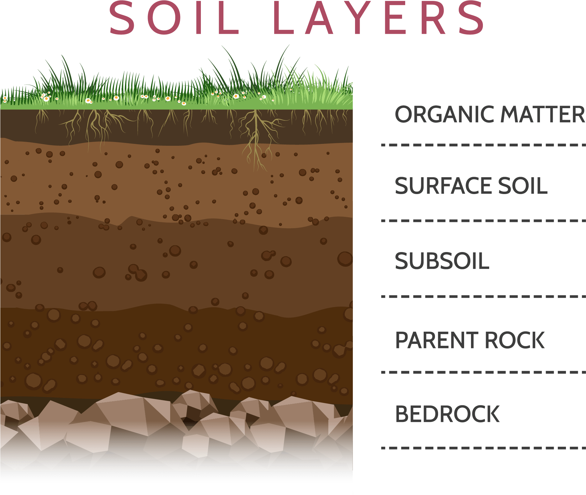 Soil-layers - Layers Of Soil (1997x1666), Png Download