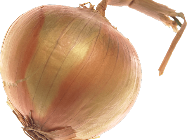 Onion Clipart Transparent Background - Onion (640x480), Png Download