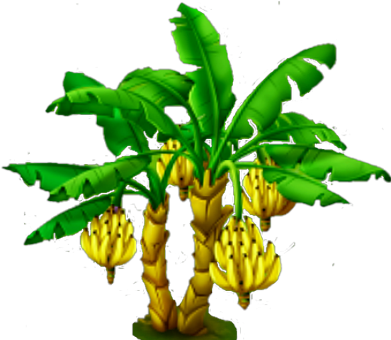 Name Five Plants That We Can Eat (640x480), Png Download