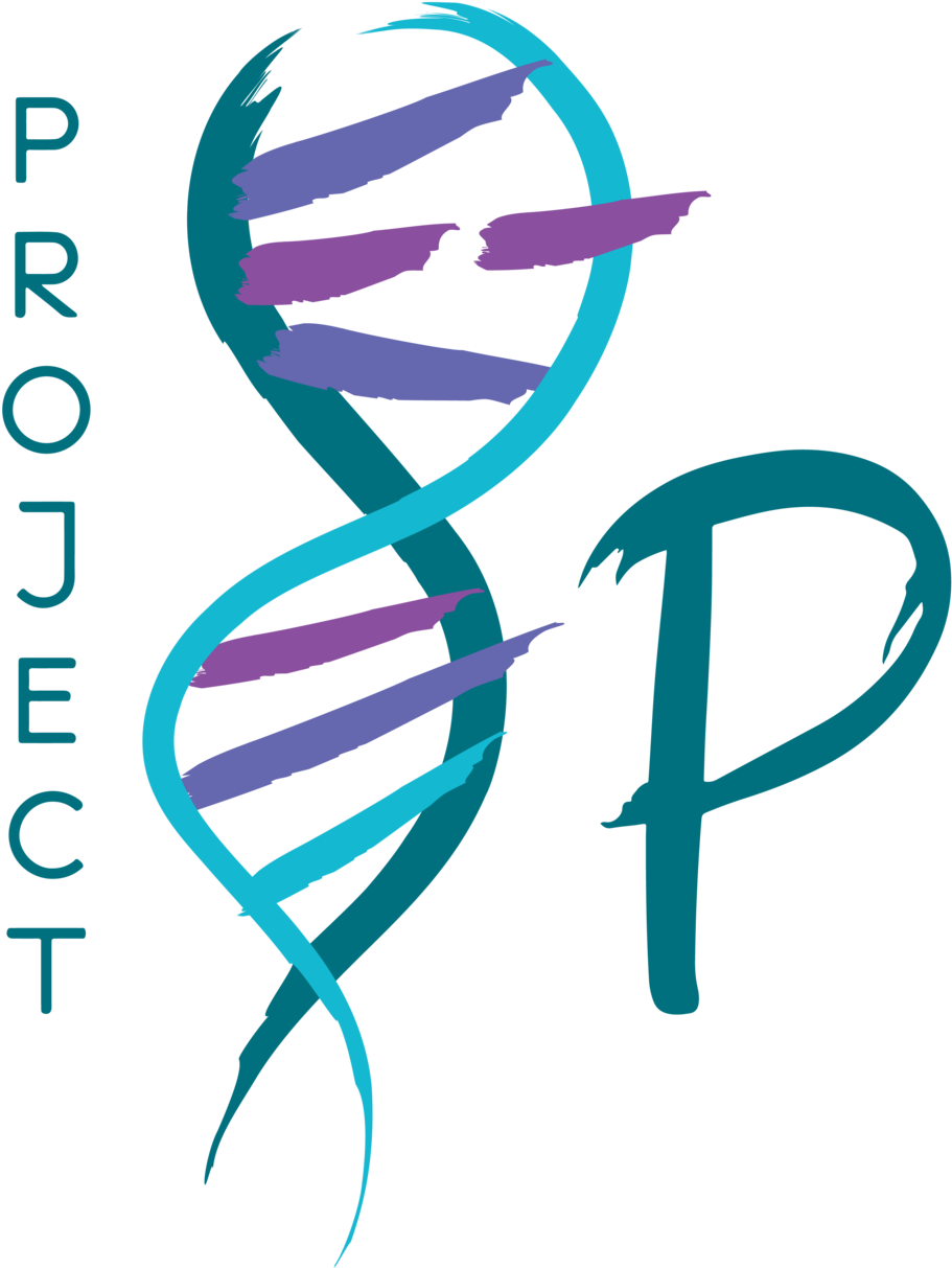 Embracing The 8p Journey Blog Project 8p (1000x1280), Png Download