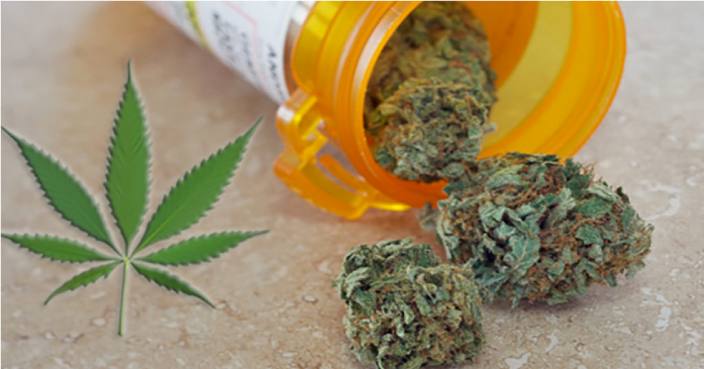 Pot May Be More Effective Than Adderall For Treating - Cannabis (1024x768), Png Download