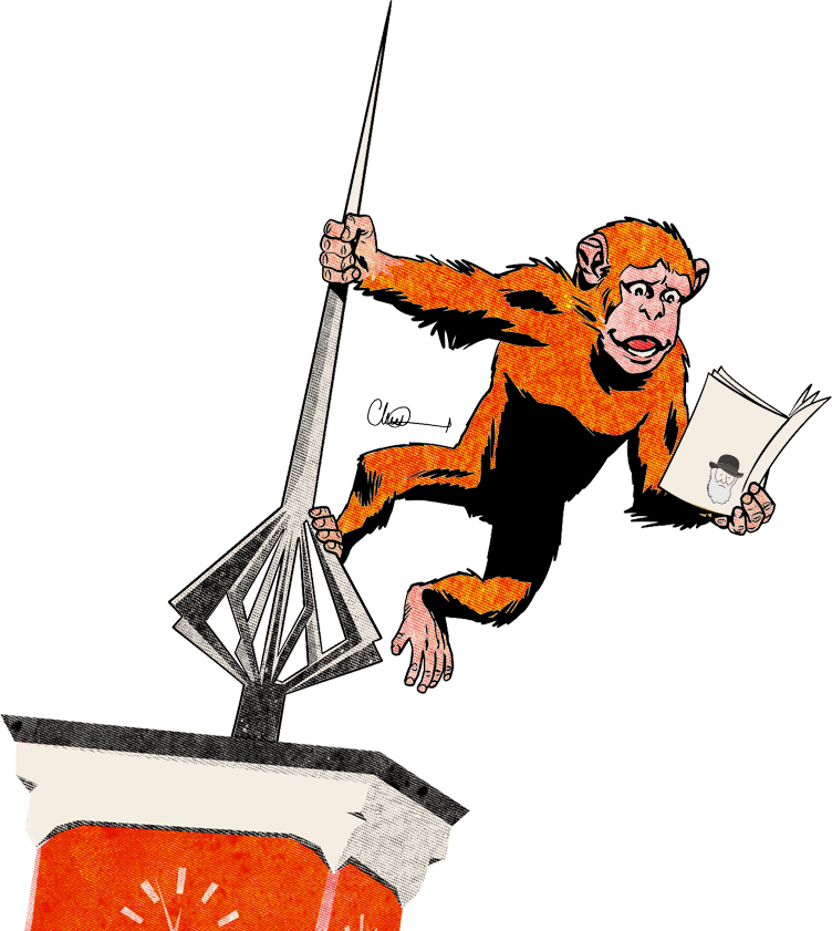 Guest Profiles - Cartoon (752x841), Png Download