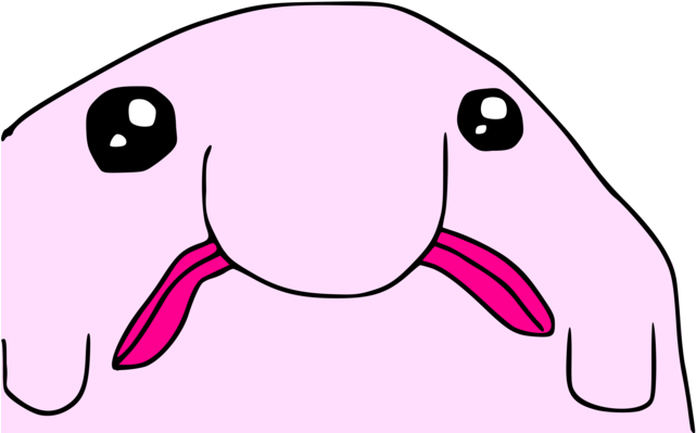 About - “ - R9k Blobfish (680x680), Png Download