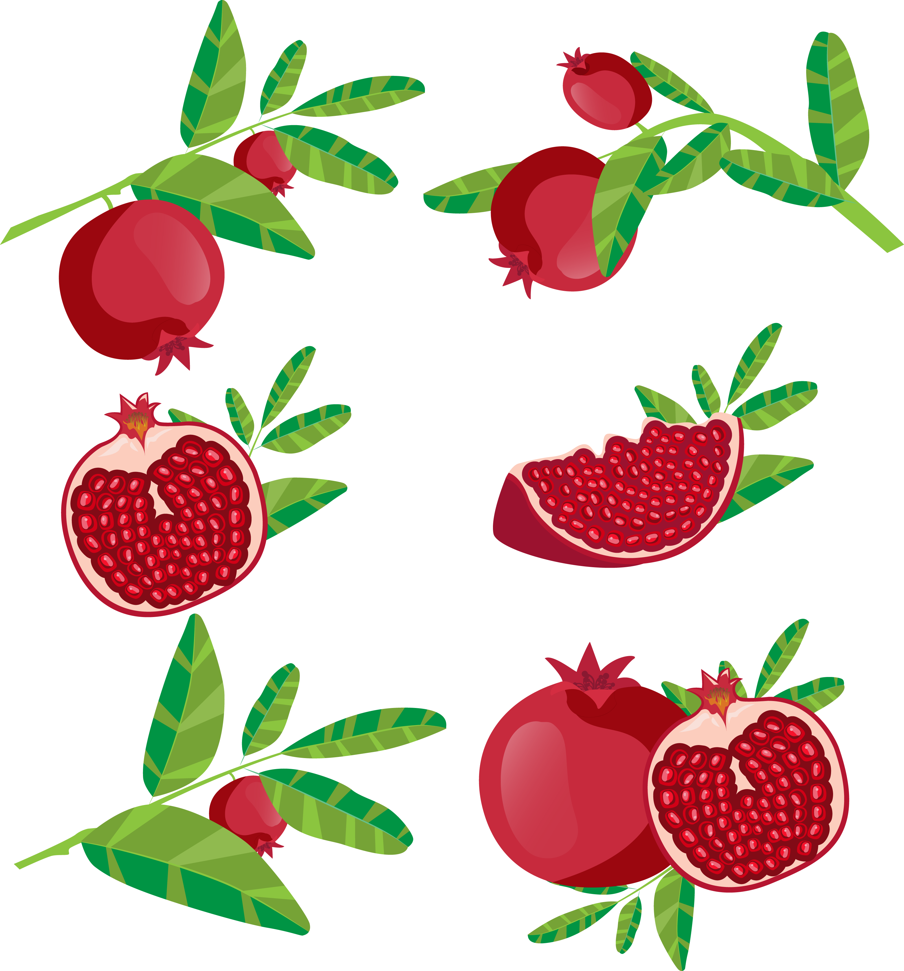 Vector Library Download Juice Fruit Icon Red Transprent - Delima Vector (3123x3352), Png Download
