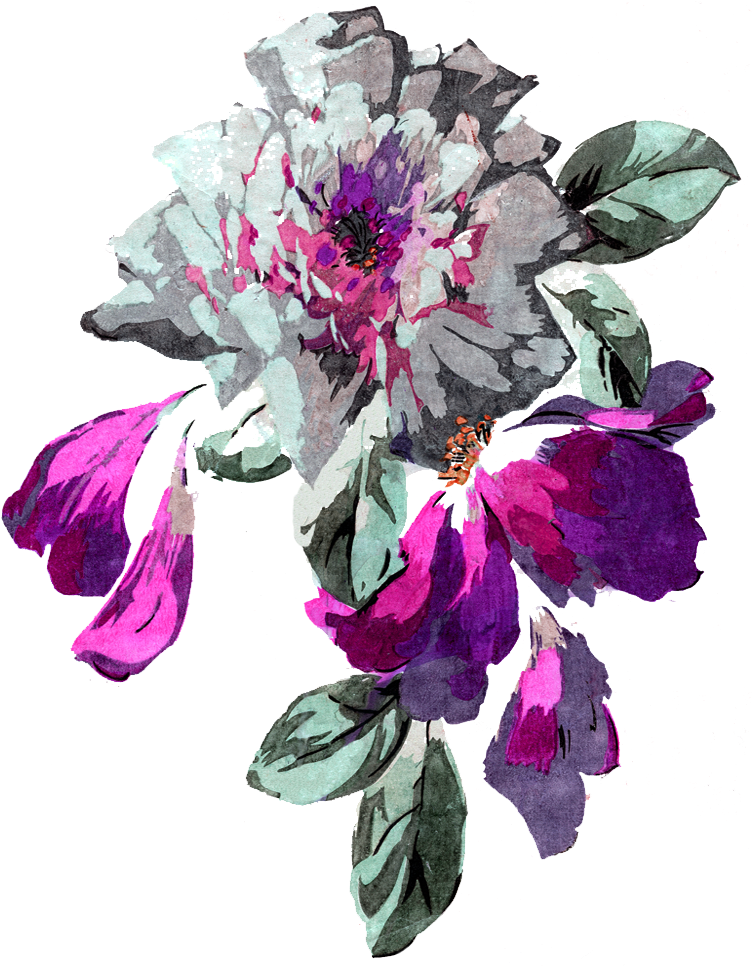 Collection 2 - Floral Design (776x976), Png Download