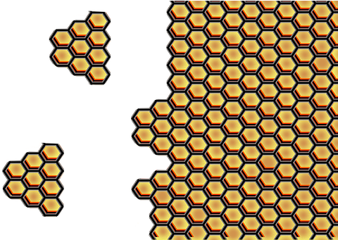 Honey Bee, Honey, Bee, Fly, Yellow - Honey Bee (604x340), Png Download