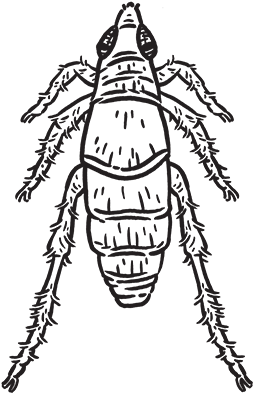 Cartoon (500x500), Png Download