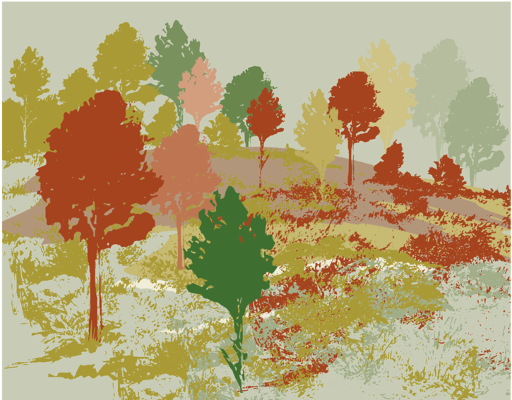 Maple Leaf (800x800), Png Download