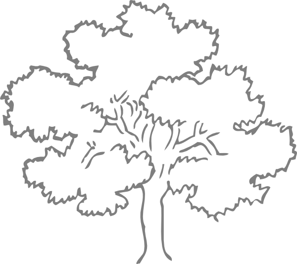 28 Images Of Oak Tree Template - Clip Art Trees Black And White (600x533), Png Download