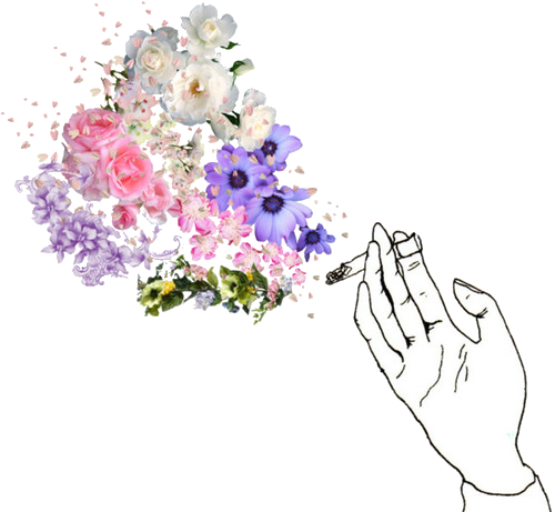 Cigarette, Flowers, And Smoke Image - Cigarette And Flower Drawing (500x461), Png Download