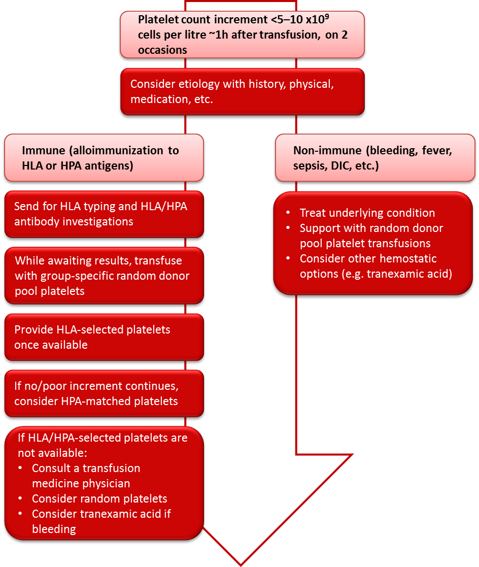 Cgtt Chapter 18 Figure - Orange (944x1117), Png Download