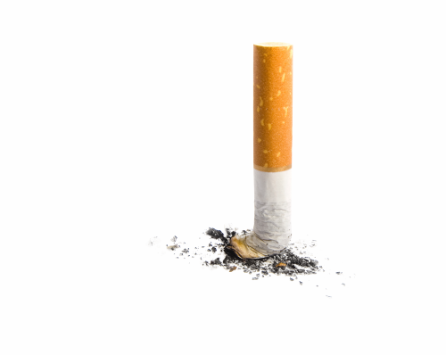 Download Cigarette Butt Transparent Background PNG Image with No Background  
