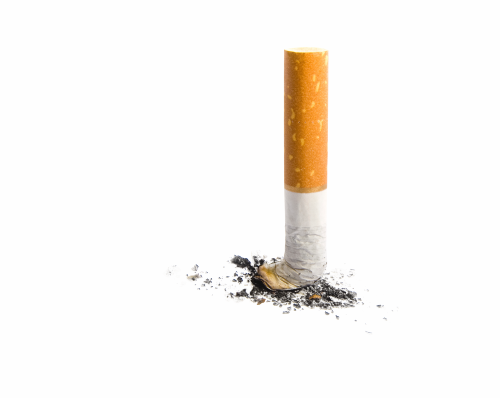 Cigarette Butt Transparent Background (500x398), Png Download