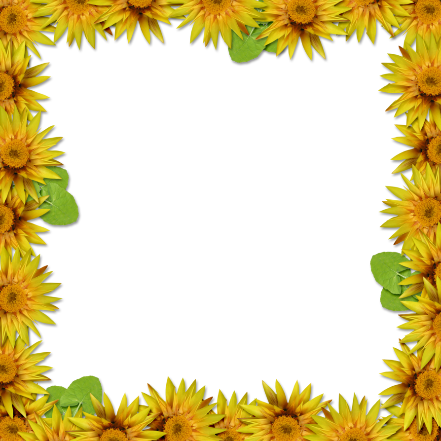 Flower Frame Overlay By - Flower Frame Portrait Hd (894x894), Png Download