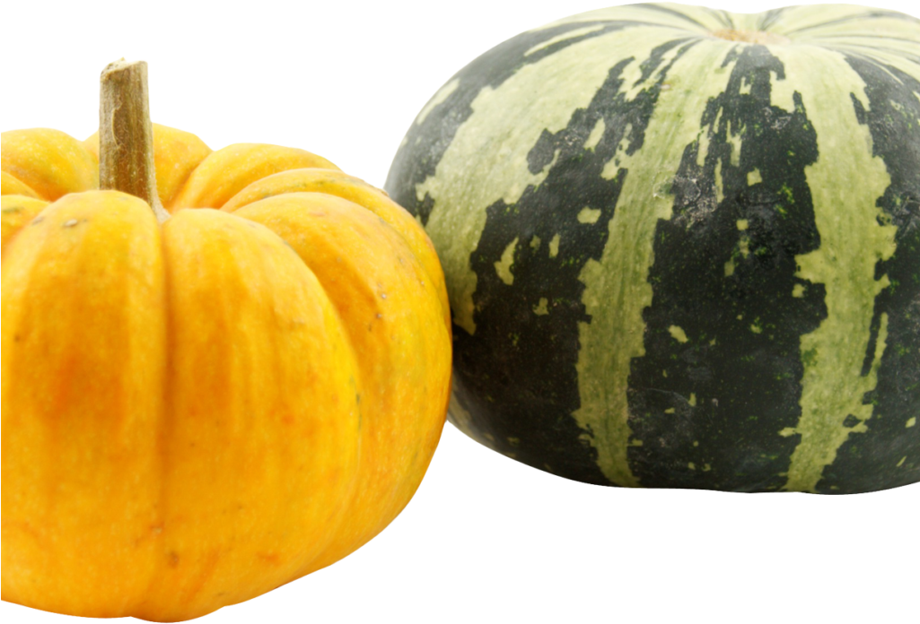 Pumpkins Png Image - Pumpkins Transparent (1024x768), Png Download