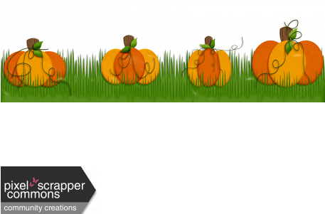 Pumpkins Border Png - Pumpkin Patch Boarder Clipart (456x456), Png Download