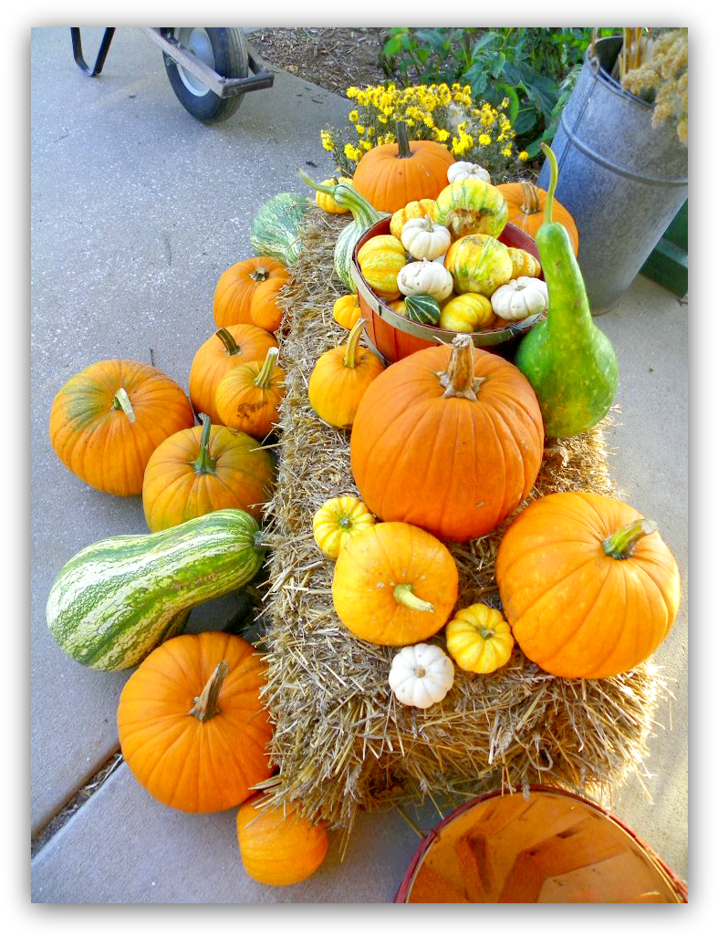 Pumpkins And Gourds (794x1034), Png Download