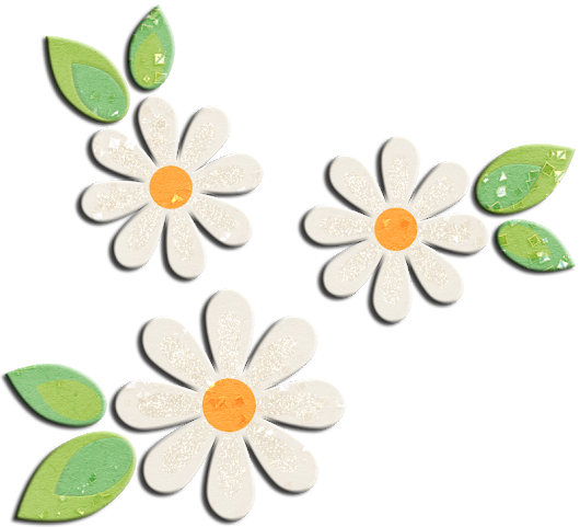 Photo - Google+ (530x481), Png Download