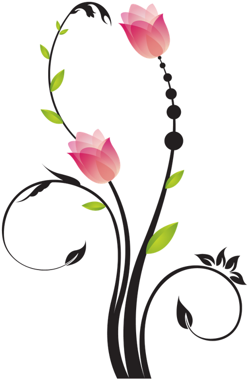 Brushes De Florais - Moth Orchid (800x800), Png Download