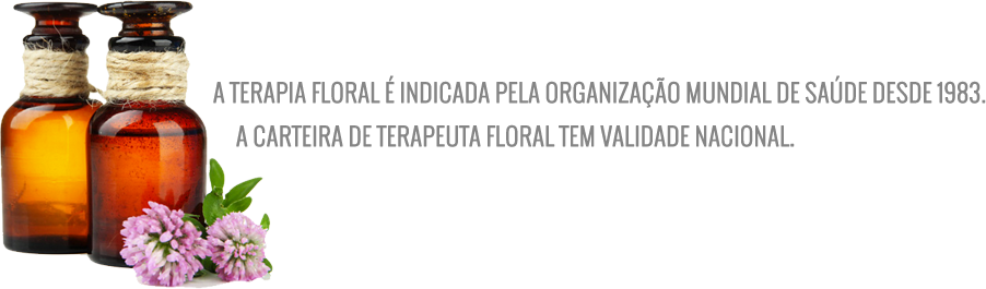 Terapia-floral - Zum Richtigen Duft By Markus Schirner (902x265), Png Download