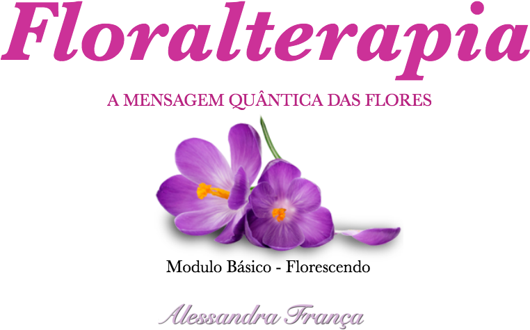 Soul (800x600), Png Download