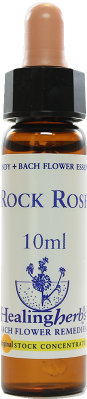 Floral De Bach 10ml - Healing Herbs (600x450), Png Download