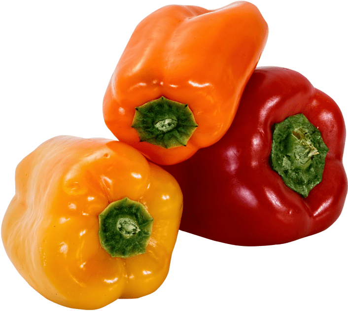 Download Bell Pepper Png Image - Sweet Pepper Png (500x442), Png Download