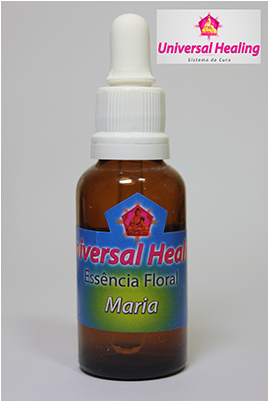 Essência Maria - Kiwifruit (637x400), Png Download