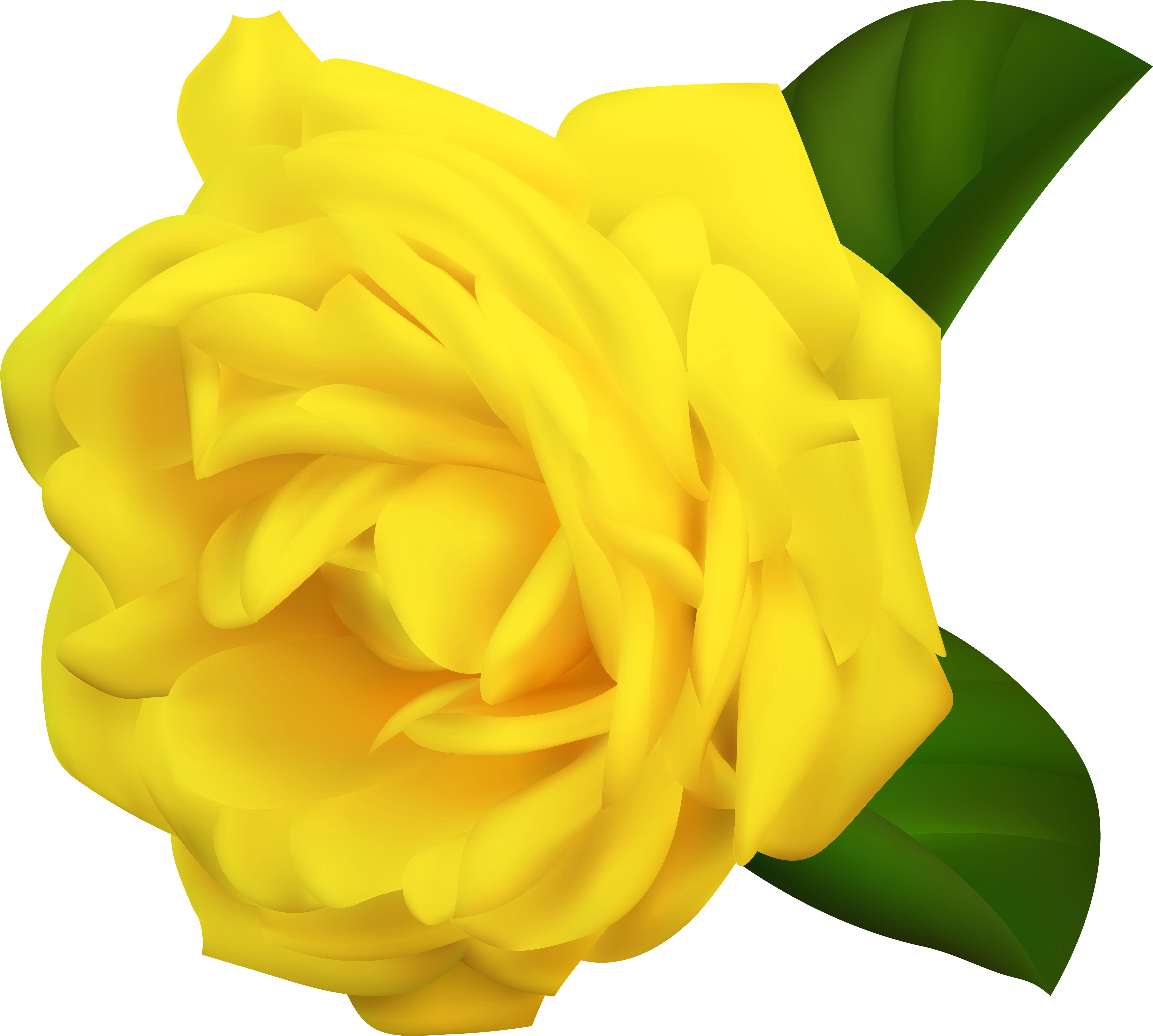 Yellow Rose Flower Png Download - Clip Art (6000x5388), Png Download