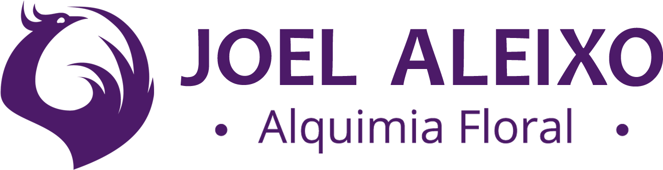 Florais Joel Aleixo - Oval (1364x374), Png Download