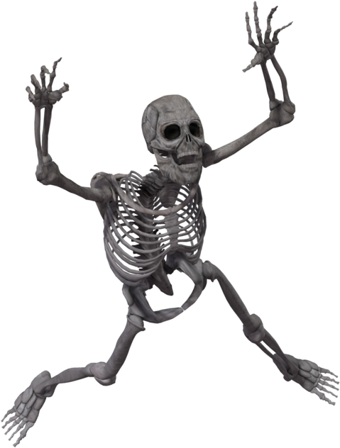 Skeleton Transparent (1024x645), Png Download